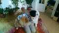IMG_20180225_083500