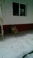 IMG_20180302_074042