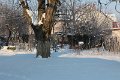 IMG_9395