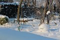 IMG_9397