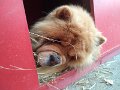 IMG_20180407_192535