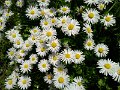 IMG_20180408_123713