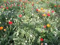 IMG_20180410_115418