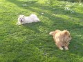 IMG_20180411_184455
