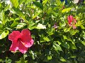 IMG_20180623_134452