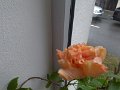 P_20181231_103954