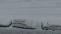 IMG-20190203-WA0000