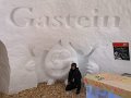 IMG-20190208-WA0003