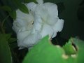 IMG_20190512_184840