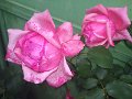 IMG_20190512_184846