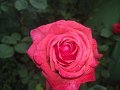 IMG_20190512_184857