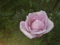 IMG_20190512_184956