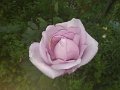 IMG_20190512_184959