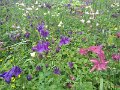 IMG_20190512_185044