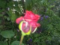 IMG_20190512_185054