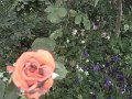 IMG_20190512_185101