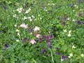 IMG_20190512_185113