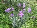 IMG_20190512_185119