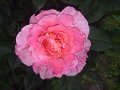IMG_20190512_185132