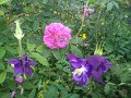 IMG_20190512_185400