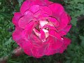 IMG_20190512_185421
