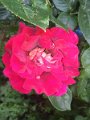 IMG_20190512_185439