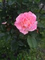 IMG_20190512_185623