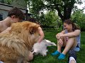 IMG_20190526_144205