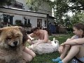 IMG_20190526_144213