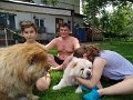 IMG_20190526_144232