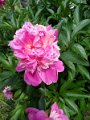 IMG_20190526_144424