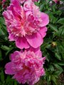 IMG_20190526_144429
