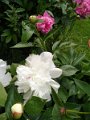 IMG_20190526_144448