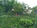 P_20190512_185632