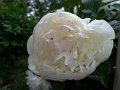 P_20190523_073957