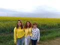 20190428_Galben