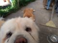 20190901_Toamna